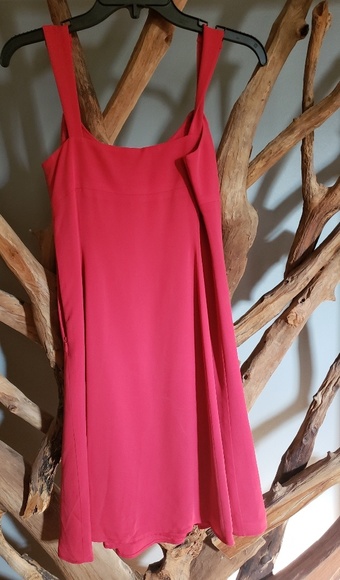 Ann Taylor Loft Red Women's shift dress 2 petite - Picture 5 of 7